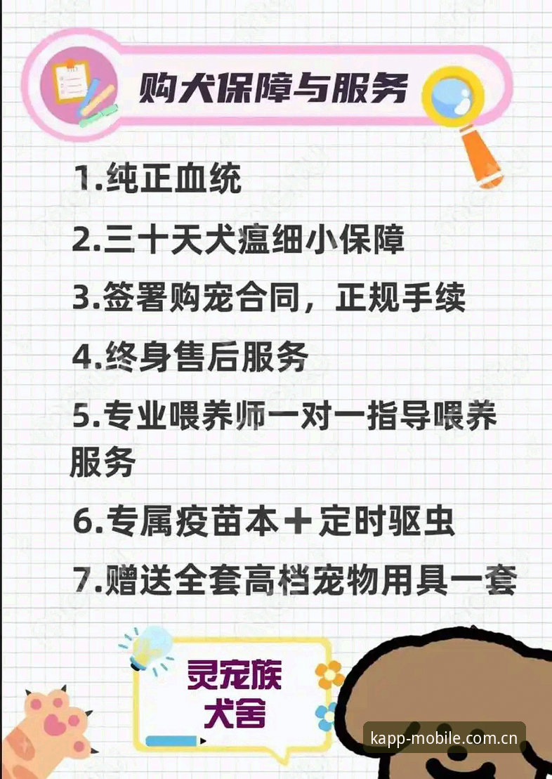 K体育平台数据对比入门指南：避开新手常见误区的四个要点